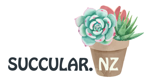 Succular.nz